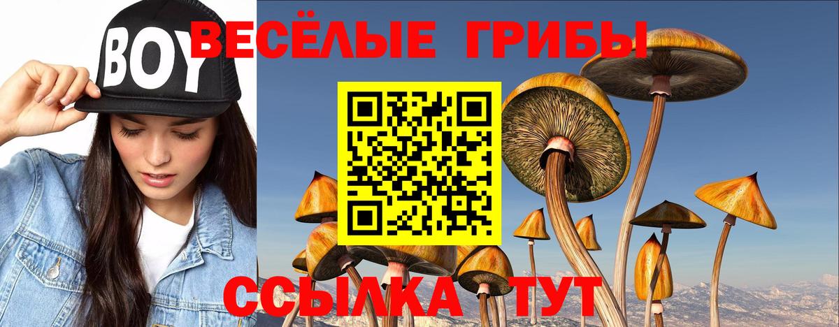 Псилоцибиновые грибы Cubensis  Вход с VPN  Галлюциногенные грибы GOLDEN TEACHER  Энгельс 